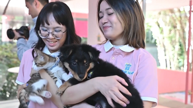 <p>China's first airport pet terminal to open</p>