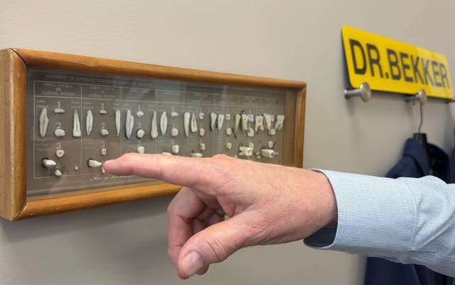 <p>Dentist James Bekker points to his model of dissected human teeth while explaining the effects of removing fluoride from public drinking water, April 30, 2025, at his office in Salt Lake City, Utah. (AP Photo/Hannah Schoenbaum)</p>