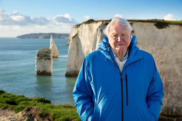<p>Ocean With David Attenborough looks at the damage some fishing practices cause in the world’s oceans (Silverback Films and Open Planet Studios/PA)</p>