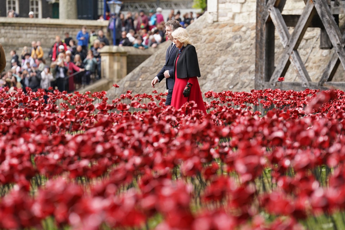Queen praises ‘beautiful’ poppy display at Tower of London Queen praises ‘beautiful’ poppy display at Tower of London