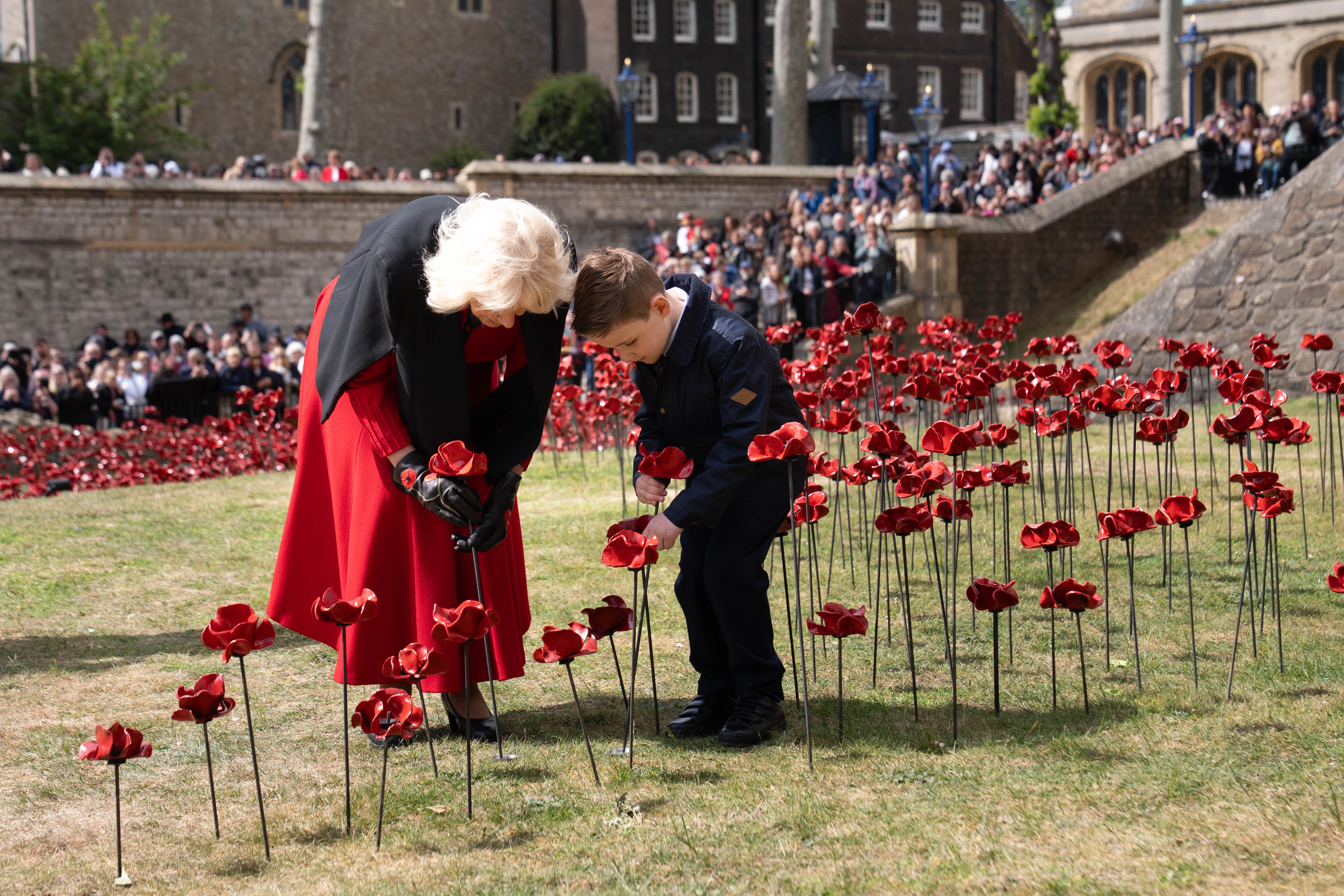Queen praises ‘beautiful’ poppy display at Tower of London | The ...