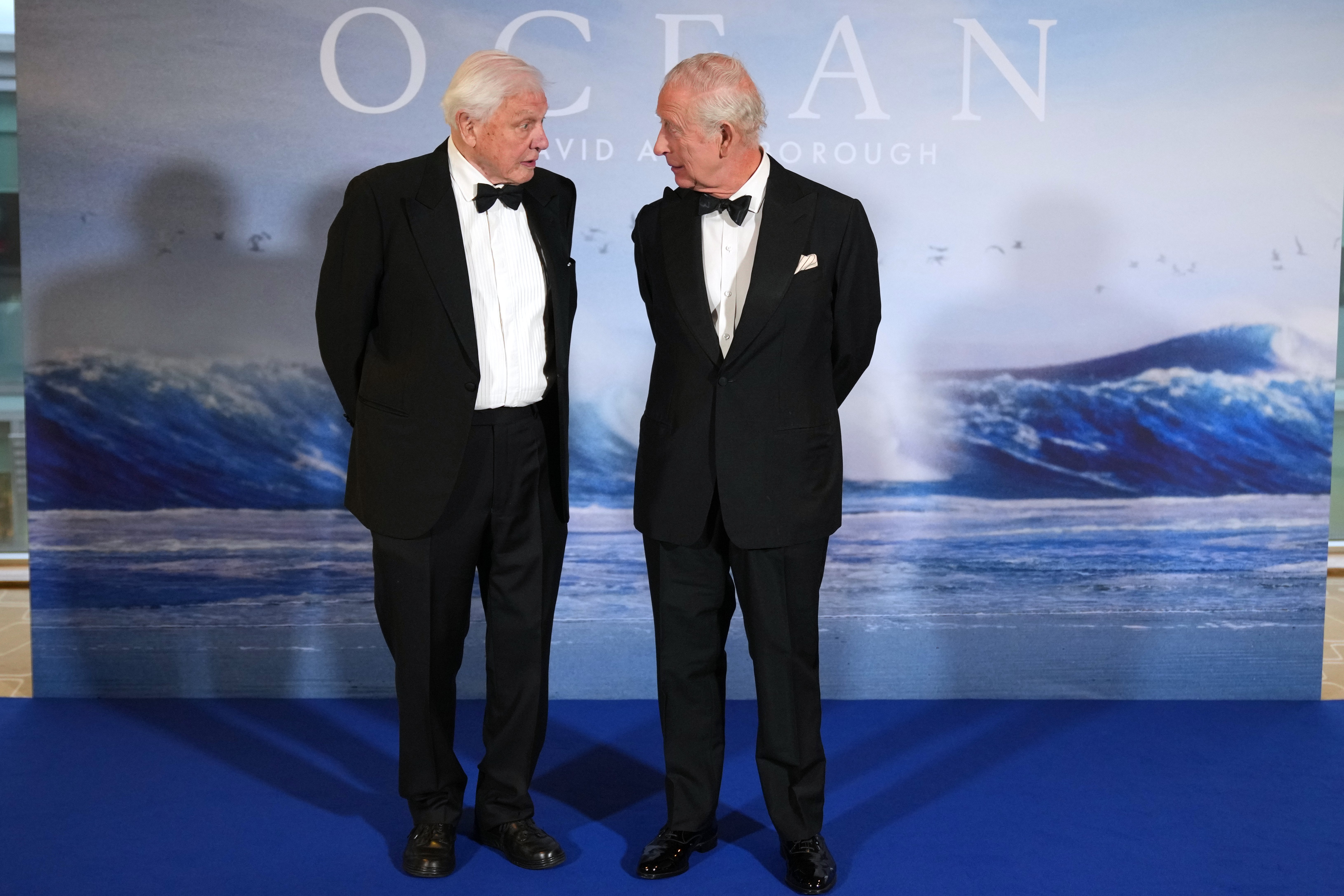 <p>King Charles III (right) meets David Attenborough as he attends the premiere of 'Ocean with David Attenborough', at the Southbank Centre, Royal Festival Hall in London</p>