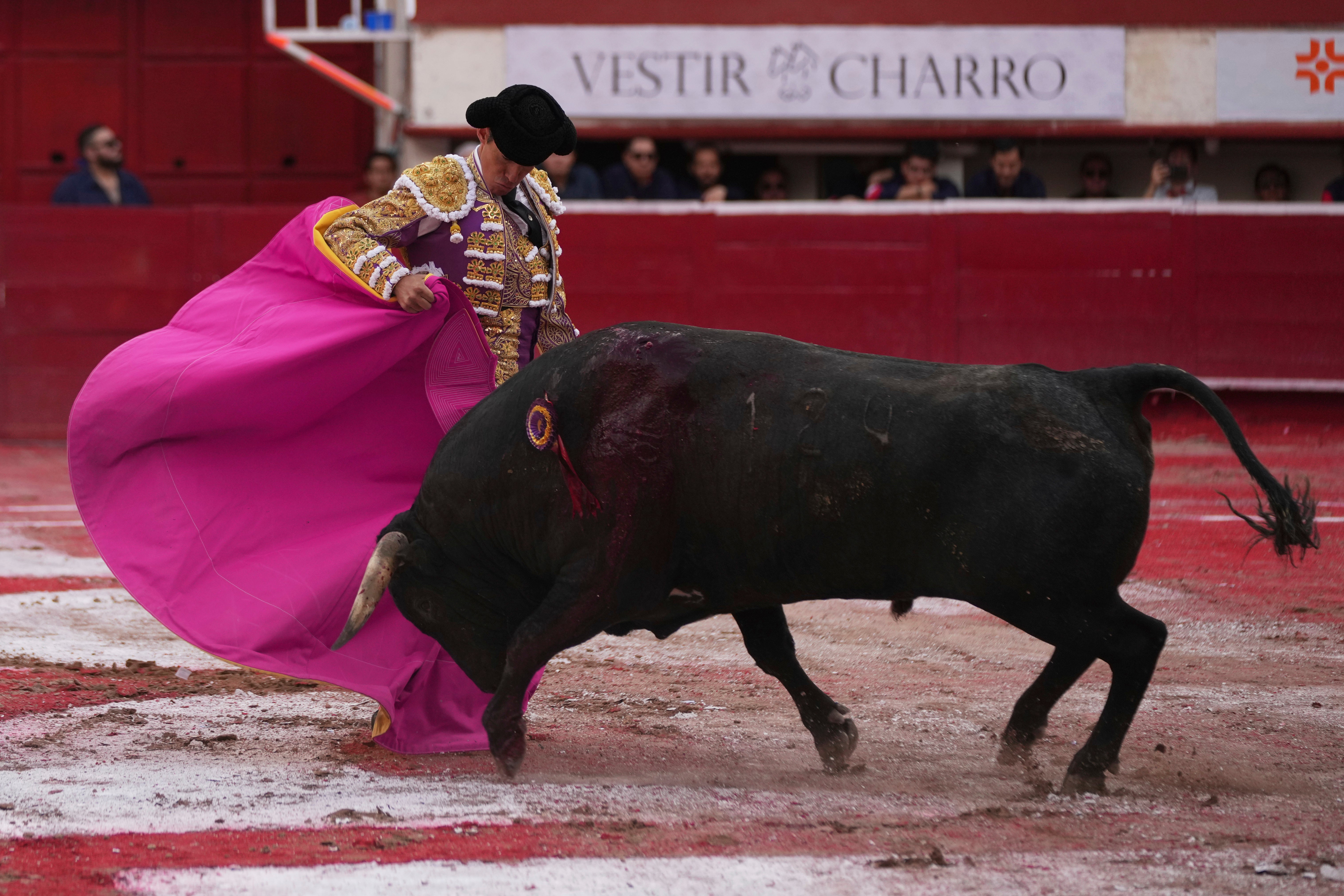 Mexico Bullfighting