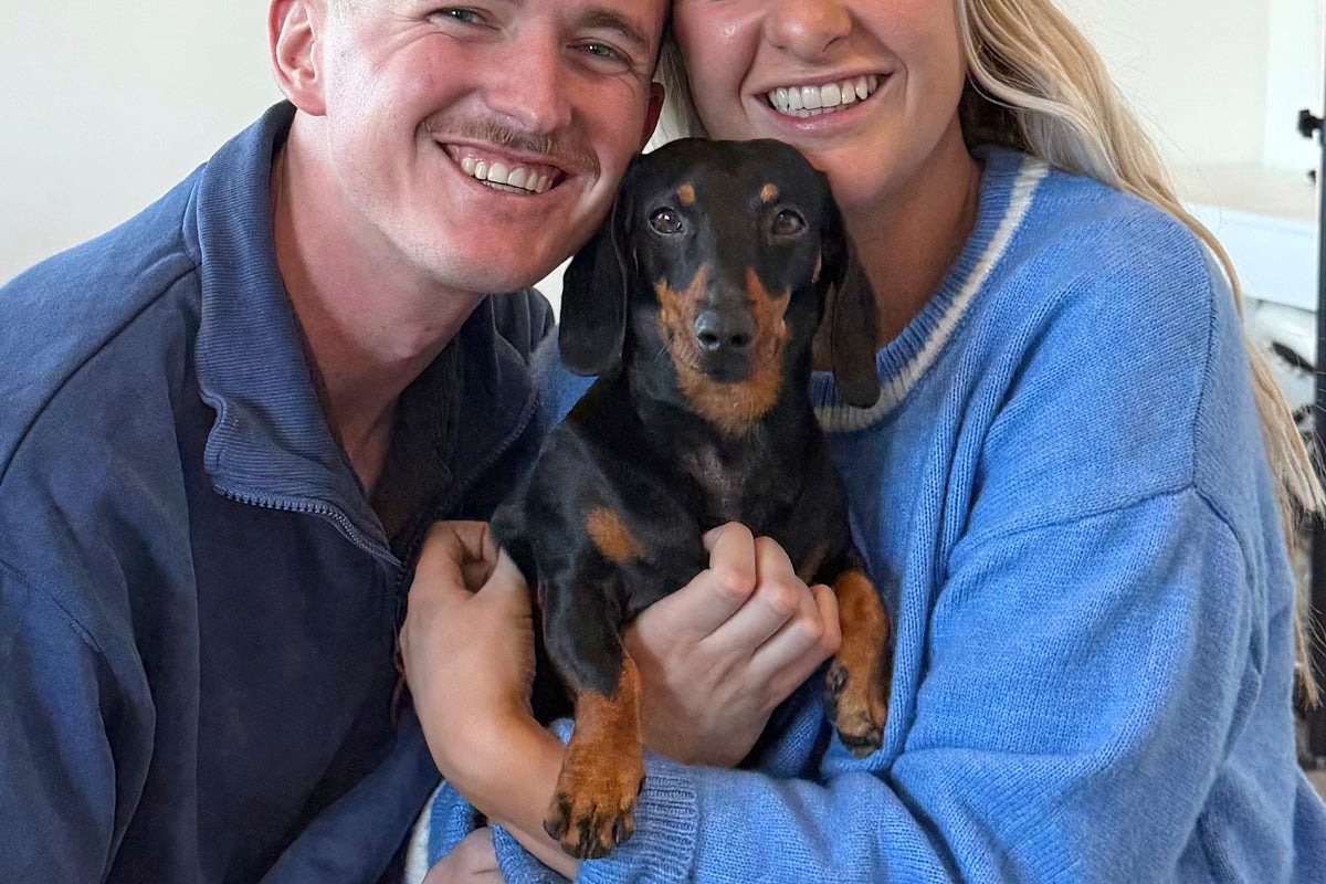 A miniature dachshund is reunited with its owner after 18 months lost on an Australian island