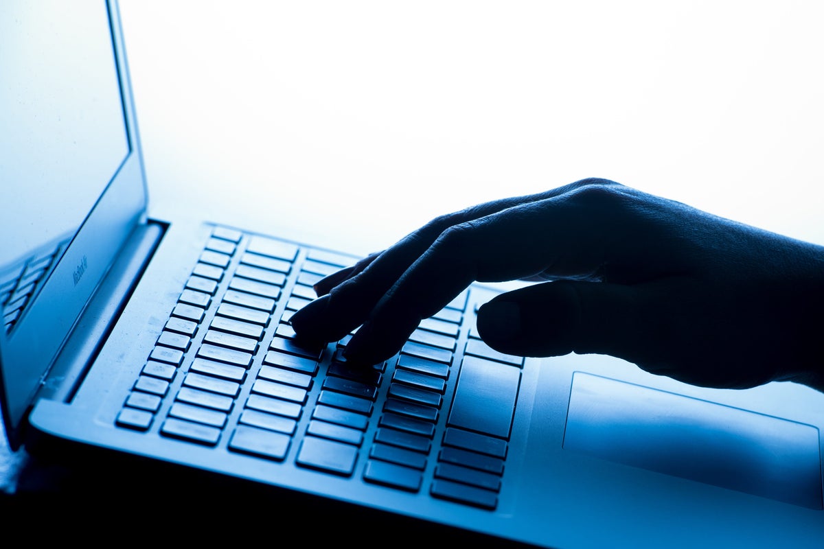 Cyber attacks: What to do if you fear your personal information has been stolen
