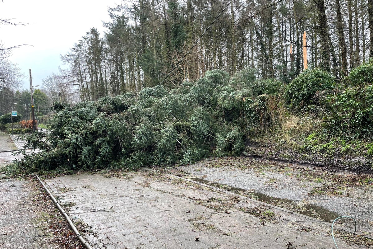 Claims for weather-related damage to homes and possessions hit record £226m