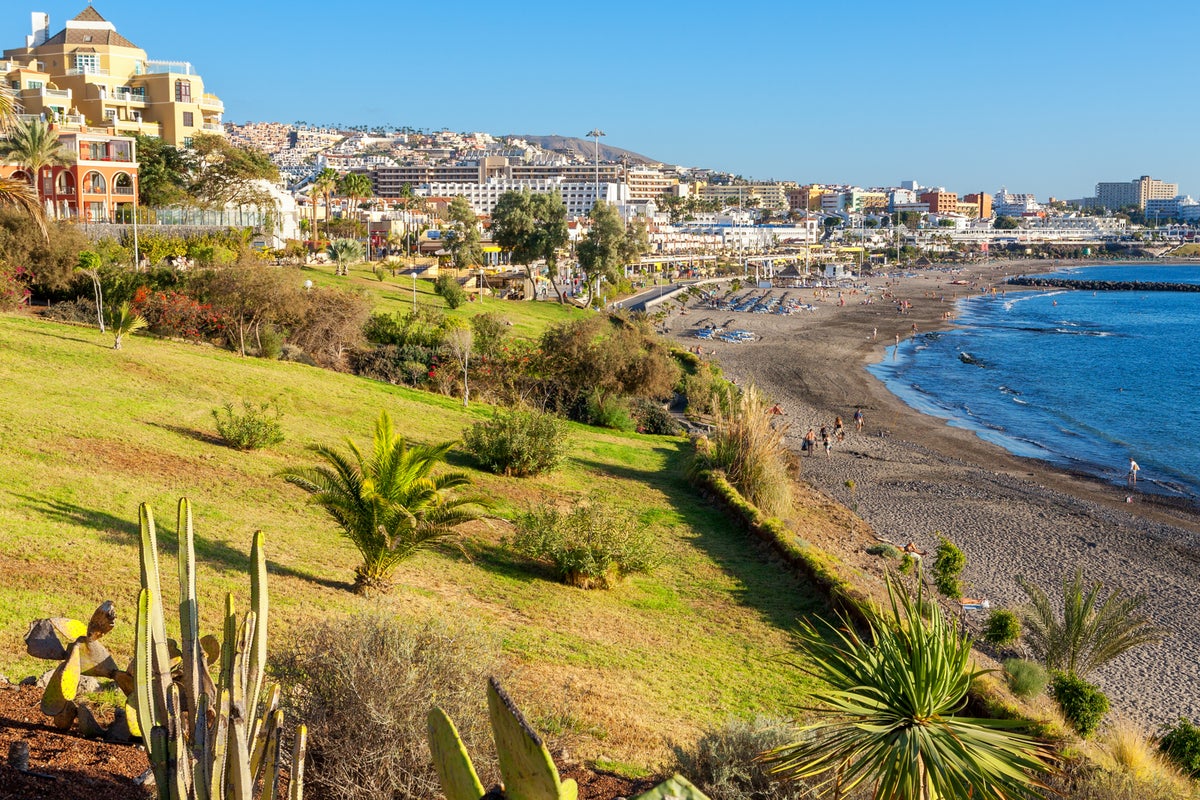 The 7 best things to do in Tenerife’s Costa Adeje, from sunbathing to whale watching