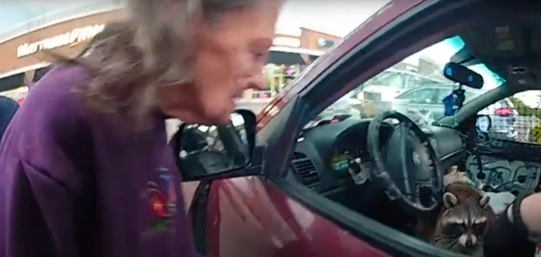An elderly passenger tried to snatch the pipe of the animal: ‘I don’t want him to have that!’
