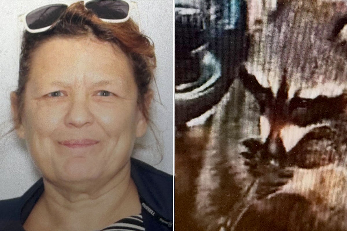 Racoon found ‘playing’ with meth pipe in driver’s seat during Ohio traffic stop