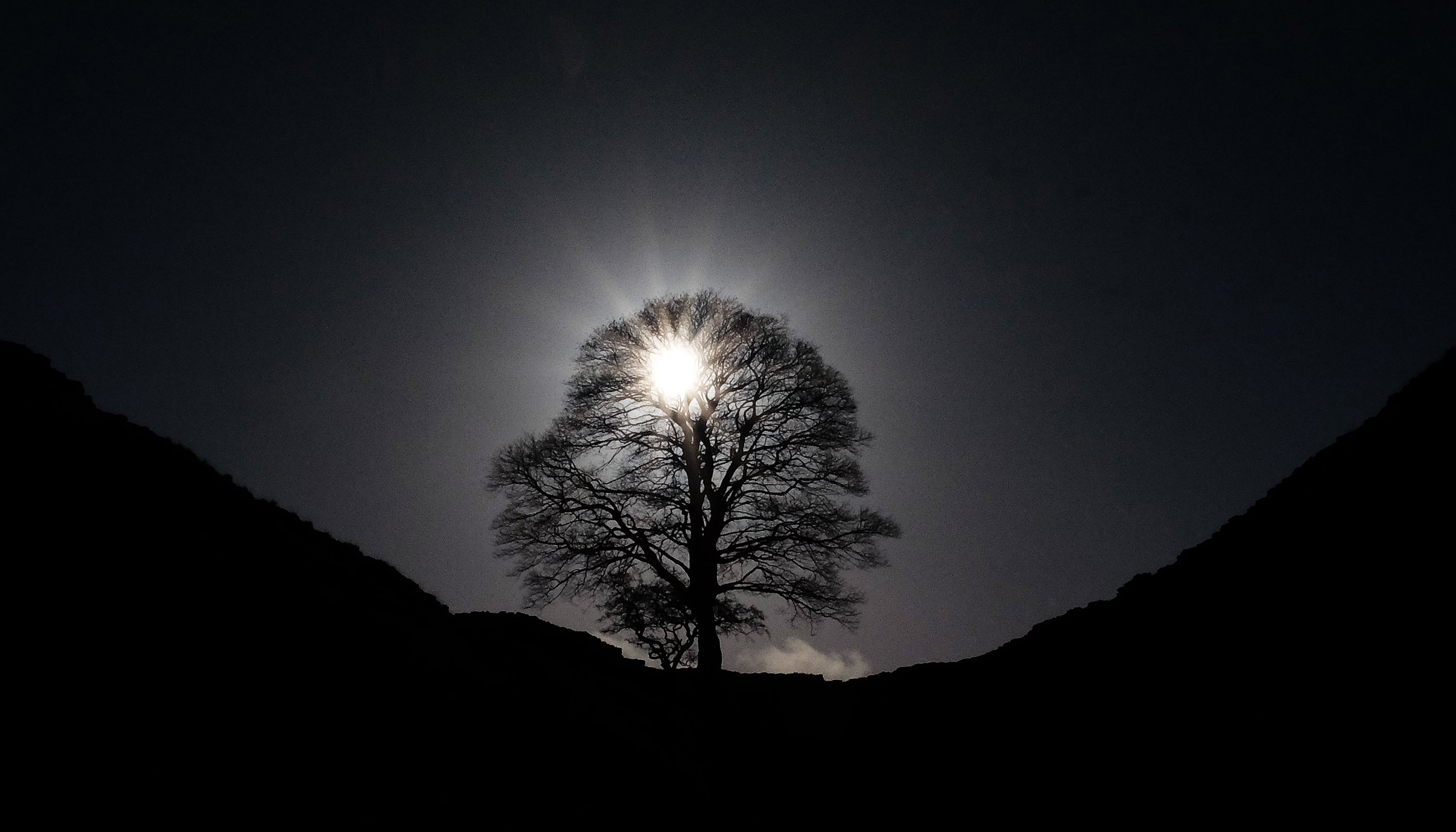 The defendants are jointly charged with causing criminal damage worth £622,191 to the much-photographed Northumberland tree (Owen Humphreys/PA)
