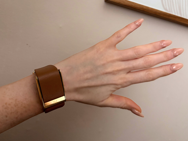 <p>The 5.0 offers new features like Healthspan for longevity testing and an AI health coach</p>