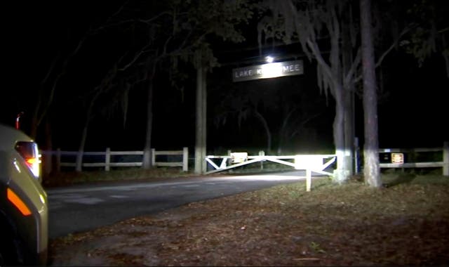 Alligator Attack Florida