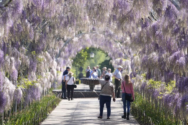 Temperatures could reach 26C this week, the Met Office said (Andrew Matthews/PA)