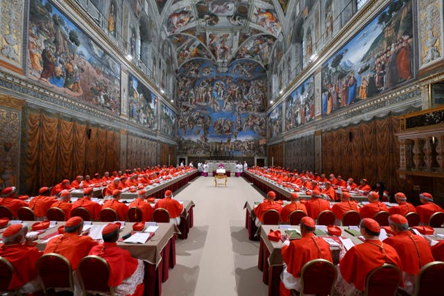 <p>Cardinals attend the first day of the conclave to elect the successor of late Pope Francis inside the Sistine Chapel at the Vatican</p>
