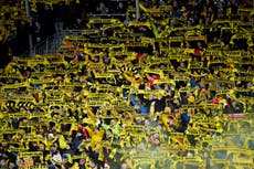 Bodo/Glimt fan trades five kilos of fish for ticket to Tottenham semi-final