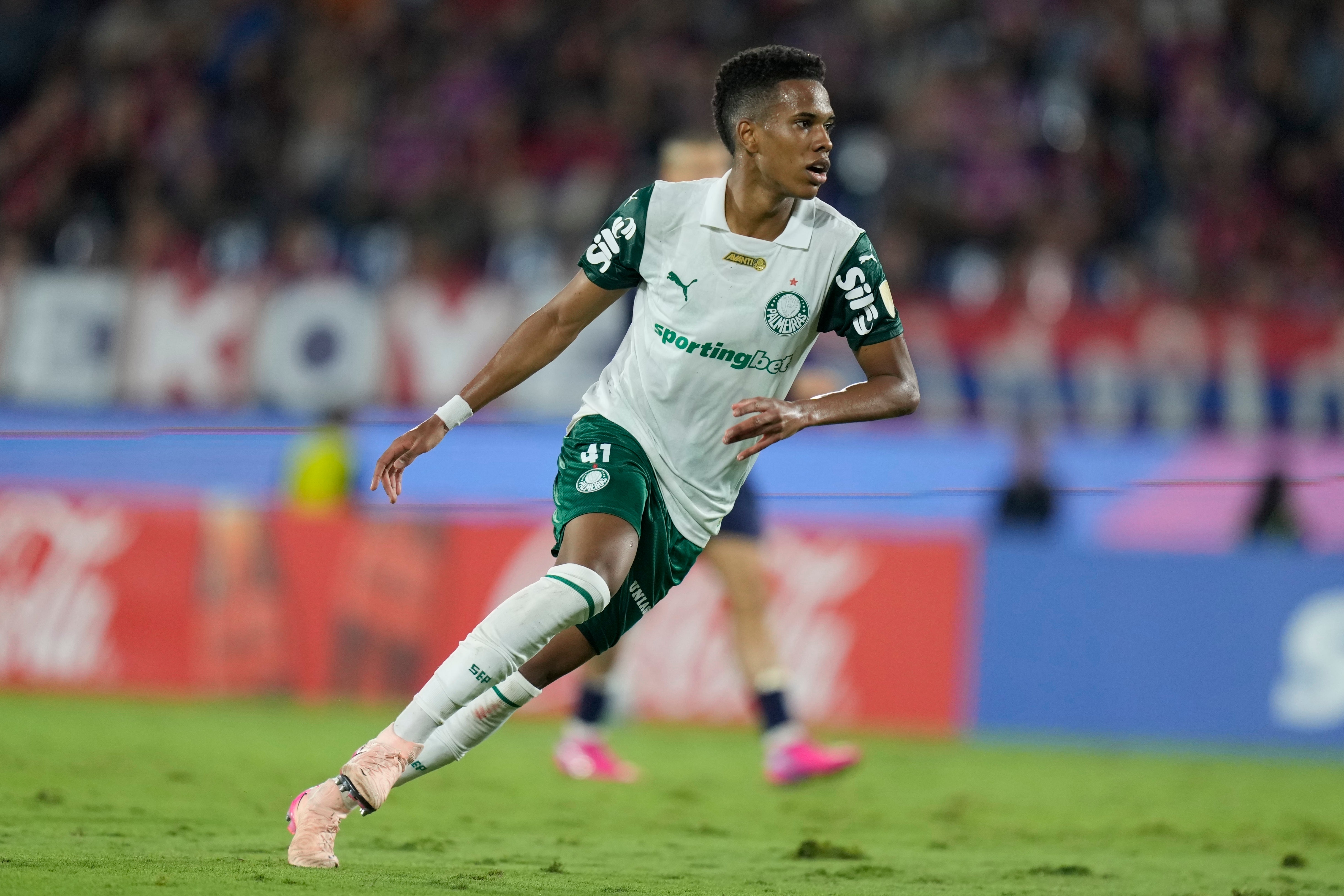 LIBERTADORES-RESUMEN