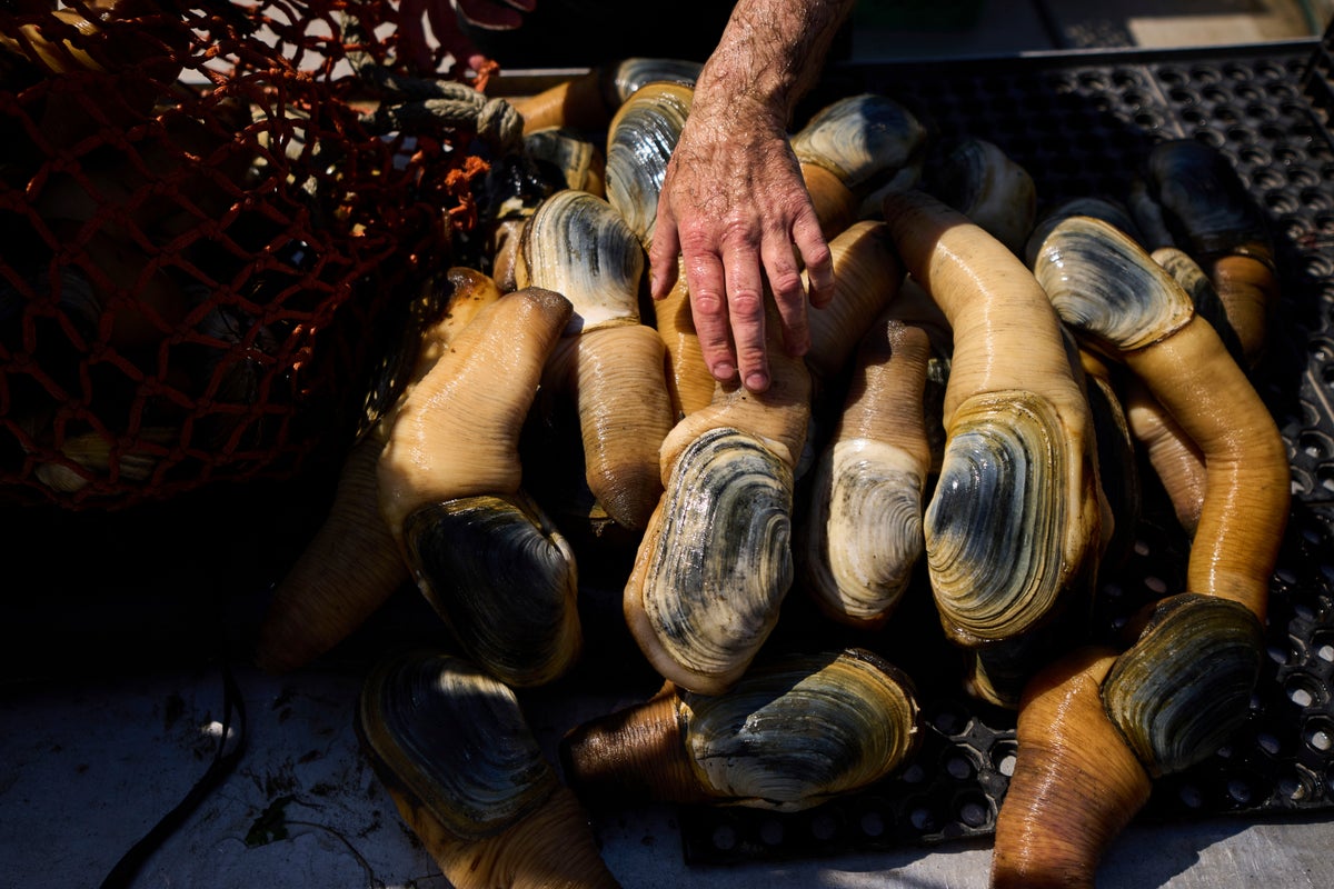 How a Chinese delicacy got caught in the crossfire of Trump's trade war