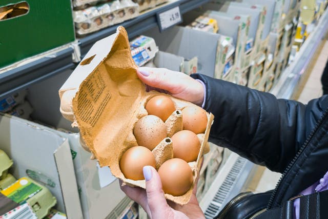 <p>Hundreds of eggs were used to reveal the findings</p>