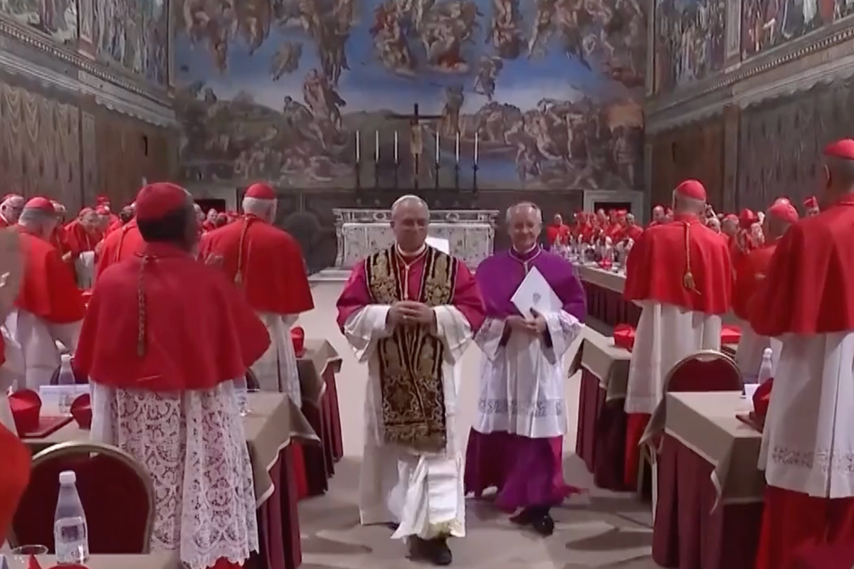 Watch how cardinals celebrated Pope Leo XIV being chosen in rare Conclave video
