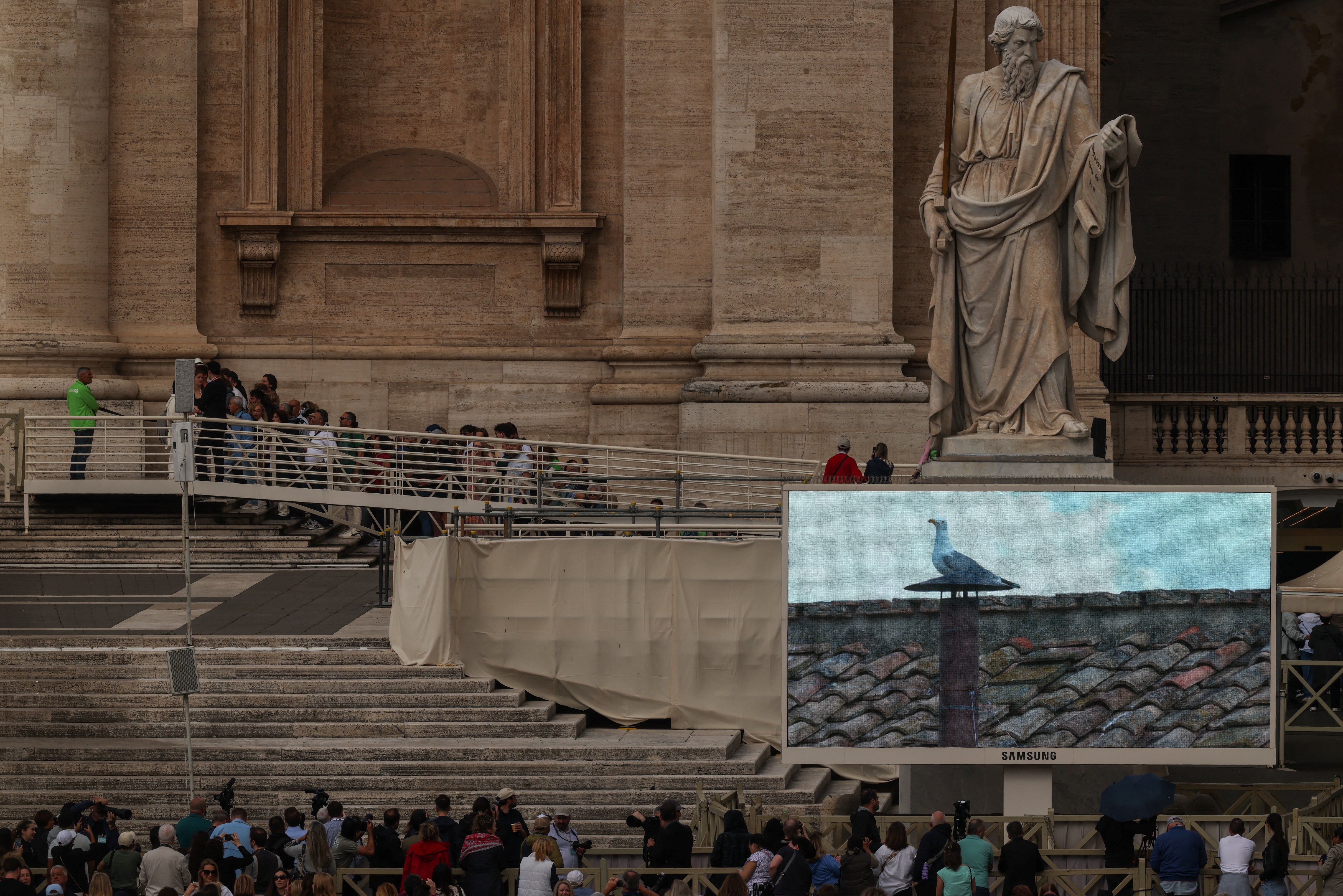 A screen shows a standing seagull near the sixtine chapel chimney while people gather in front of St Peter Square