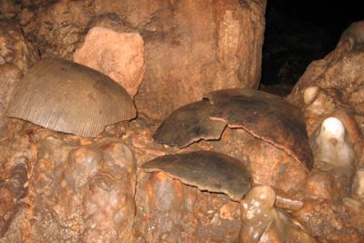 Skulls found in Guatemala ‘blood cave’ likely sacrificed to rain god in brutal Mayan ritual