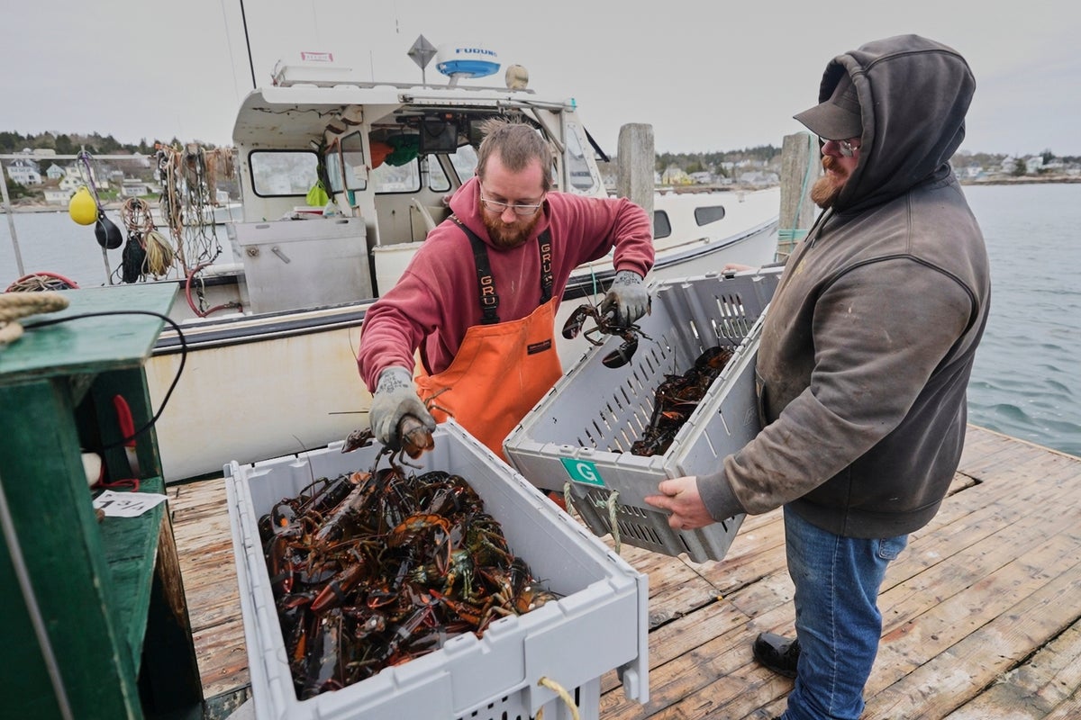 Fishermen battling with changing oceans chart new course after Trump's push to deregulate