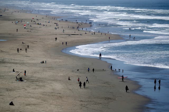 <p>A middle-aged man collapsed in the water at Ocean Beach during a dog rescue mission gone wrong </p>