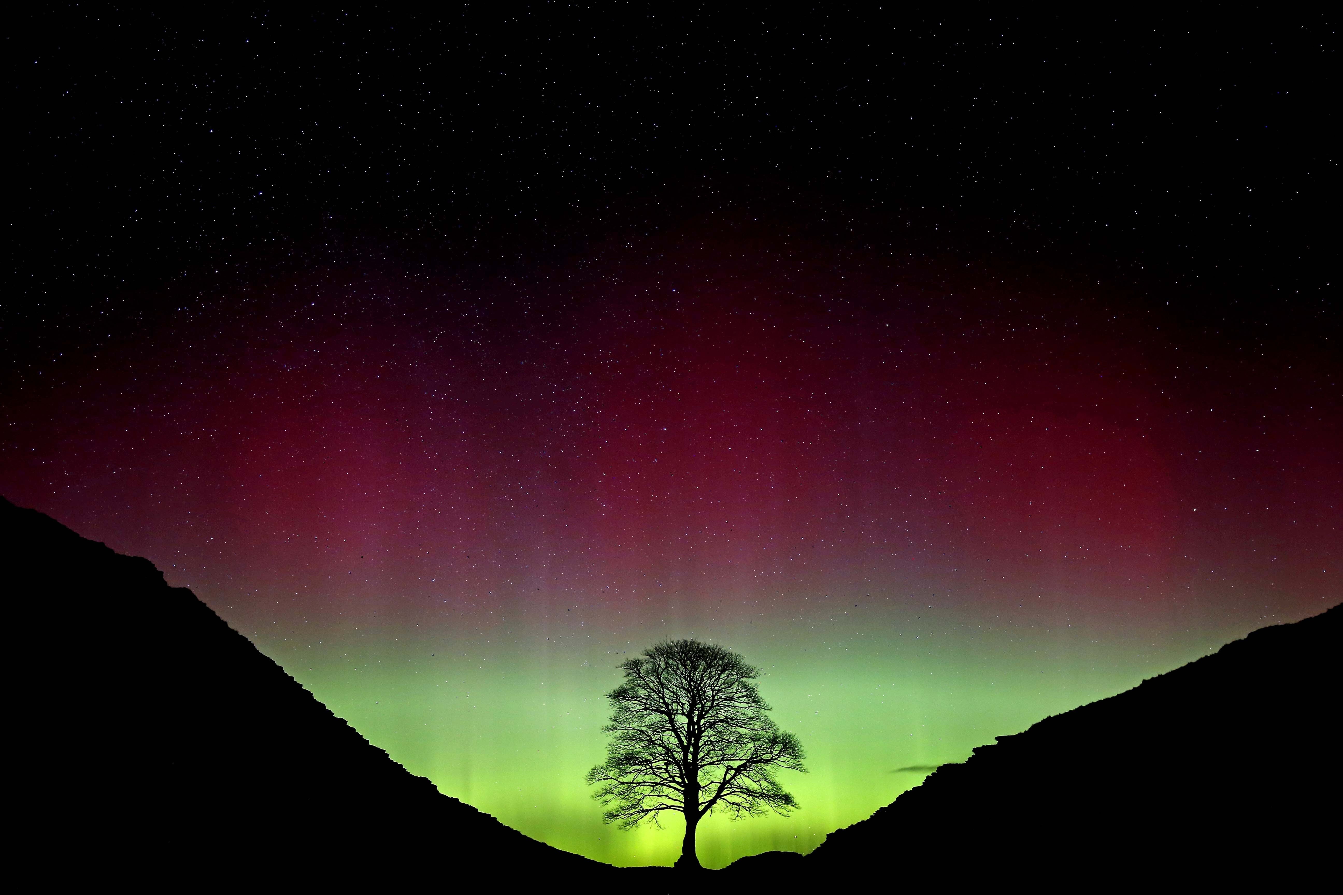 The Sycamore Gap at Hadrian’s Wall in Northumberland (Owen Humphreys/PA)