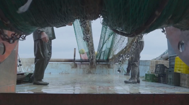 <p>A screengrab from Ocean with David Attenborough </p>