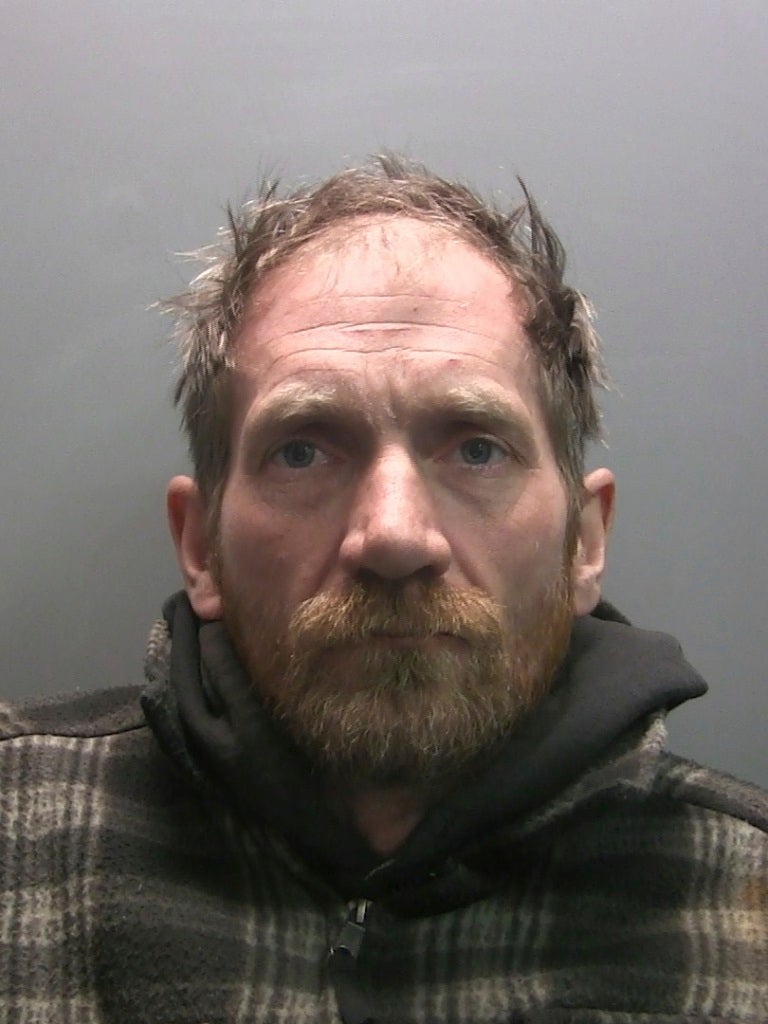 Britain Sycamore Gap Tree Trial