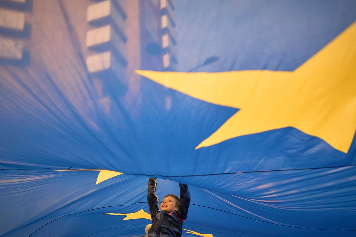 PHOTO COLLECTION: Romania Election Pro-EU Rally