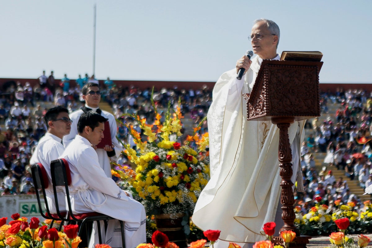 'Leo will follow Francis.' Amazon Catholics hope the new pope will protect the rain forest