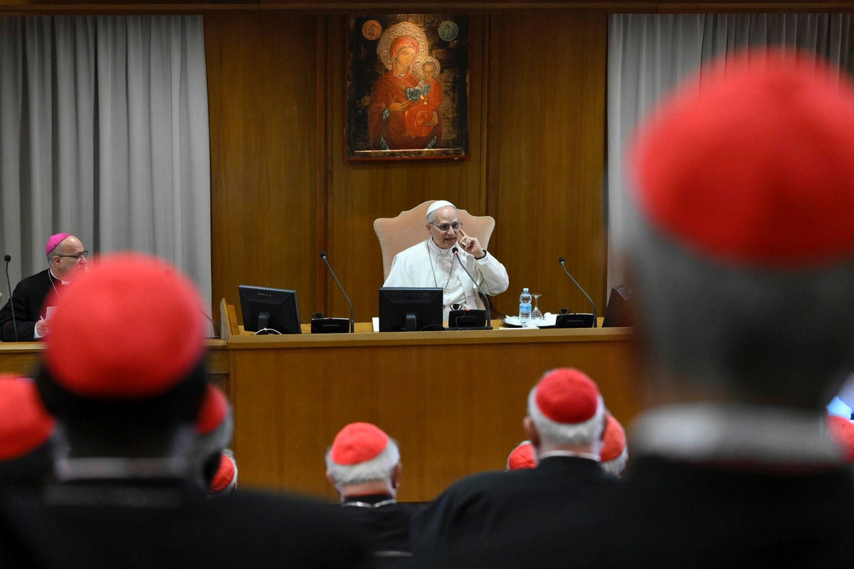Pope Leo XIV lays out his vision of the papacy and identifies AI as a main challenge for humanity