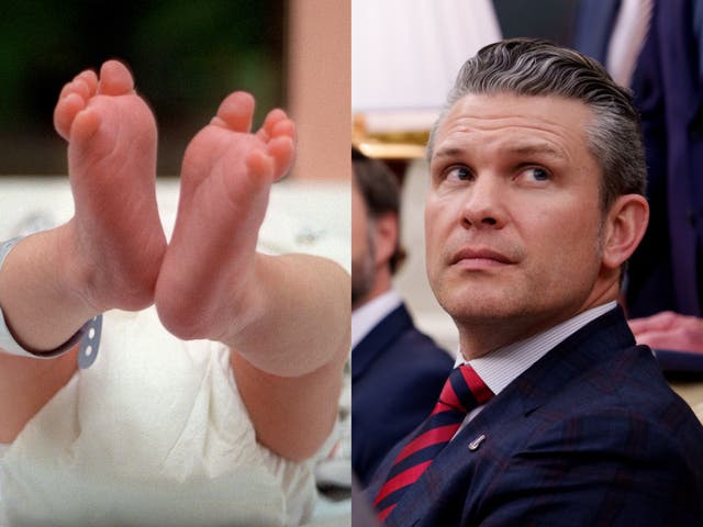 <p>Peter Hegseth, head of the Defense Department, which has ended a program to research children's heart defects</p>