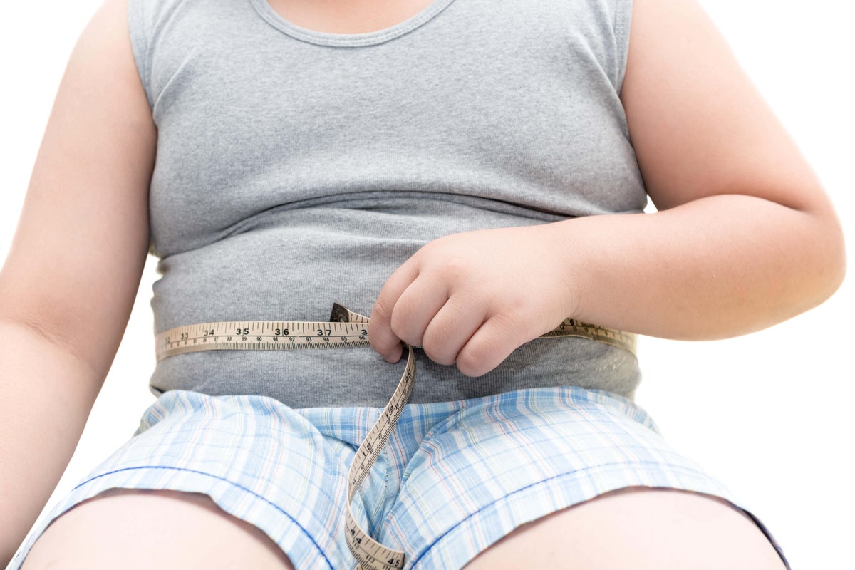 Number of obese and overweight teenagers will skyrocket in the next five years, experts warn