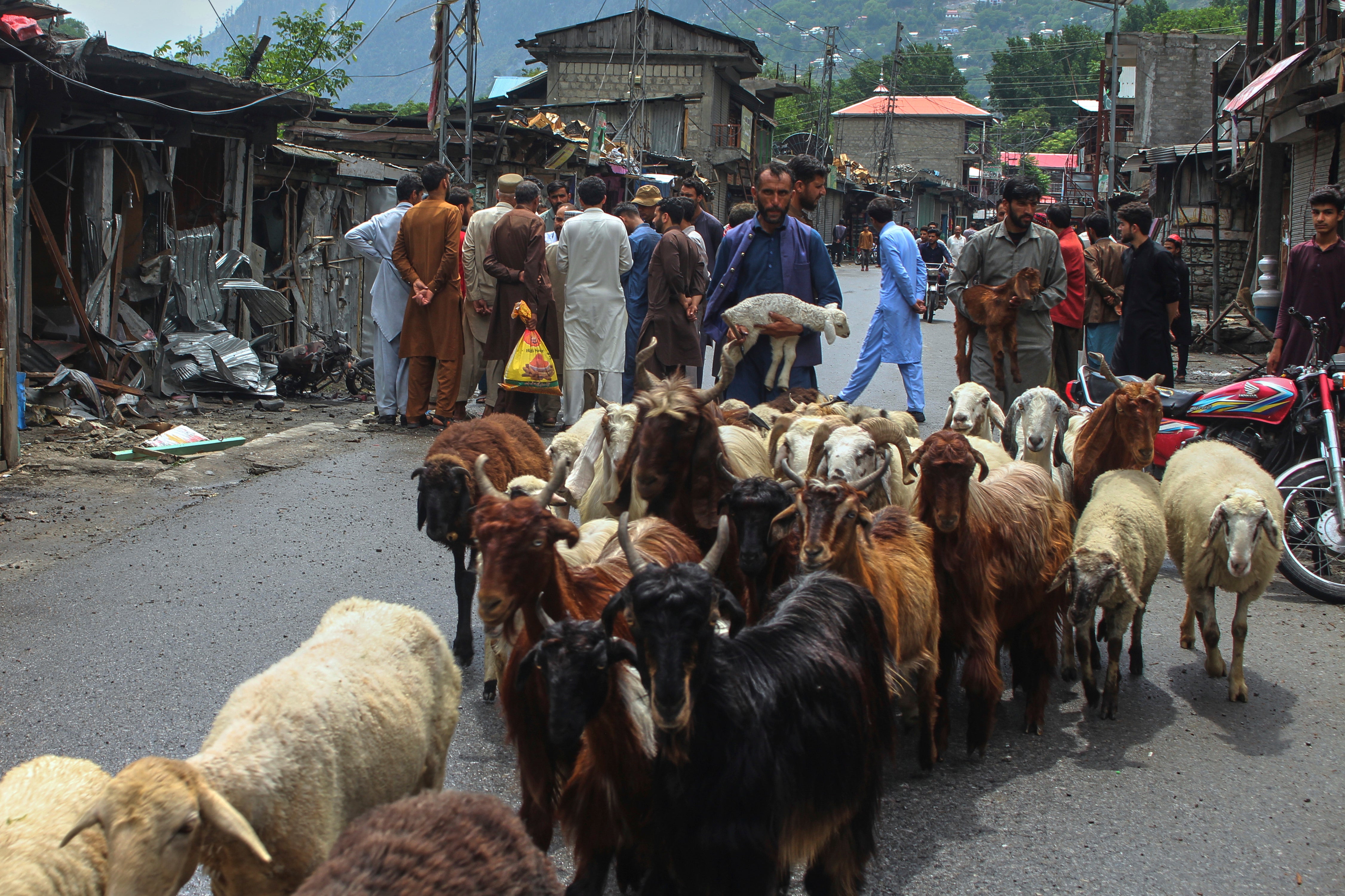 PAKISTÁN-INDIA-CACHEMIRA
