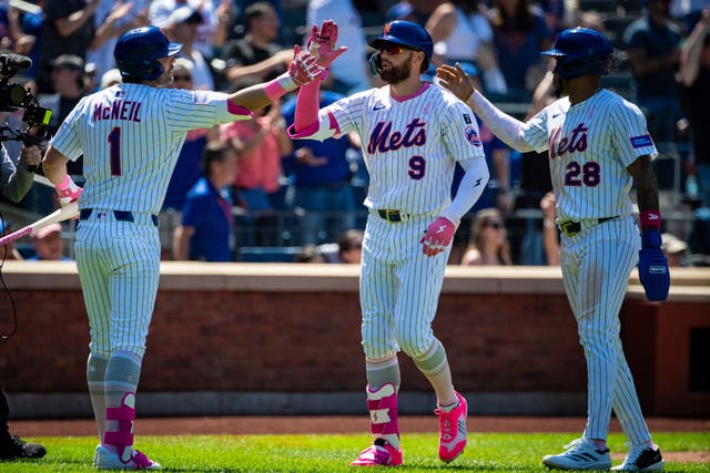 CACHORROS-METS