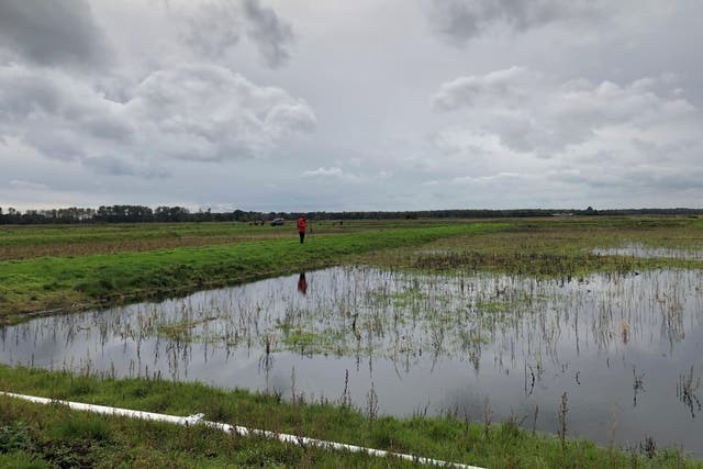 England’s peatlands have been mapped to support their recovery (Emily Beament/PA)