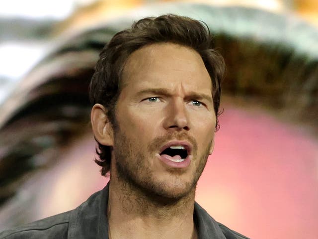 <p>Chris Pratt has divided fans over his Mother’s Day post</p>