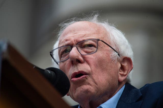 <p>Bernie Sanders</p>