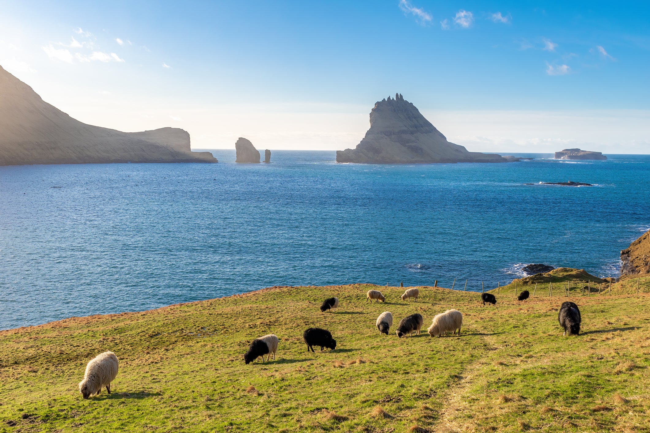 The Faroe Islands are home to more than 70,000 sheep