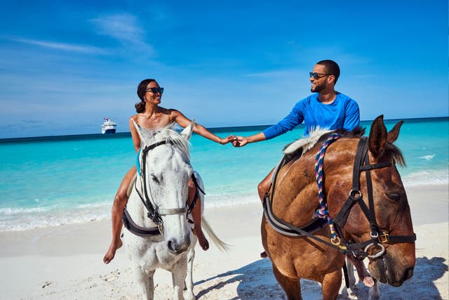 <p>Some cruise companies offer visits to private islands</p>