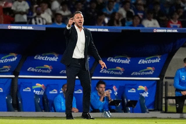 MARTÍN DEMICHELIS