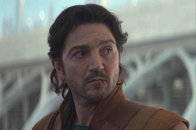 <p>Diego Luna in 'Andor' season two</p>