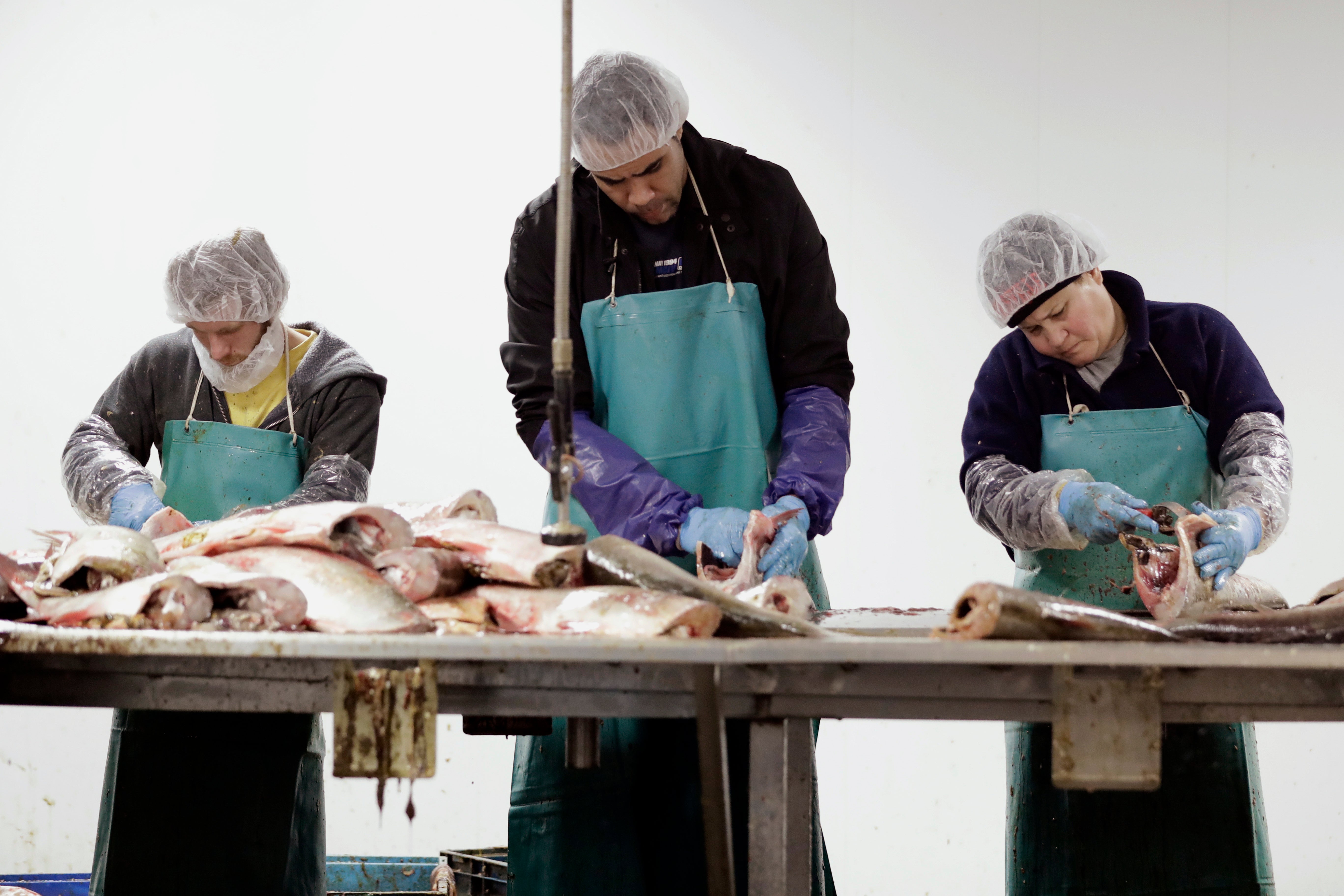 US Invasive Carp-Great Lakes-Spending