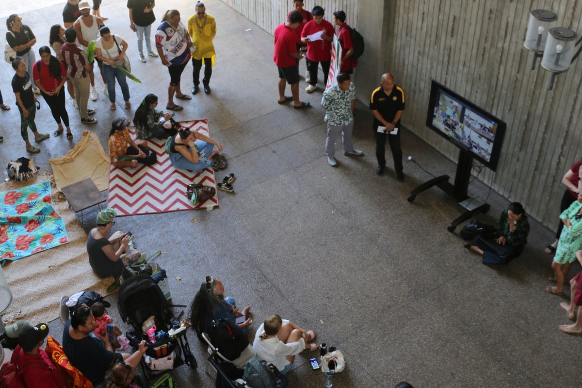 Hawaii land board vote rejecting environmental study deals setback to Army combat training
