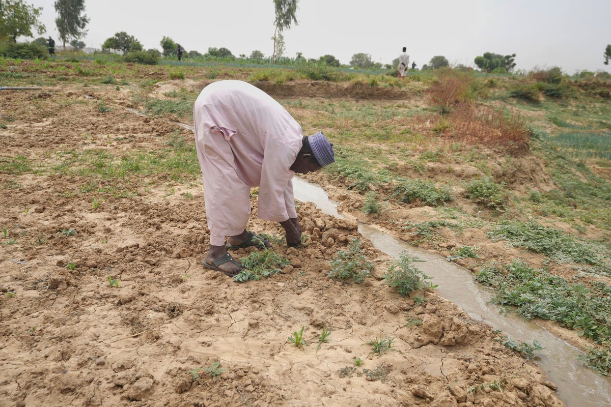 Nigeria has a food security problem as water for crops is harder to find