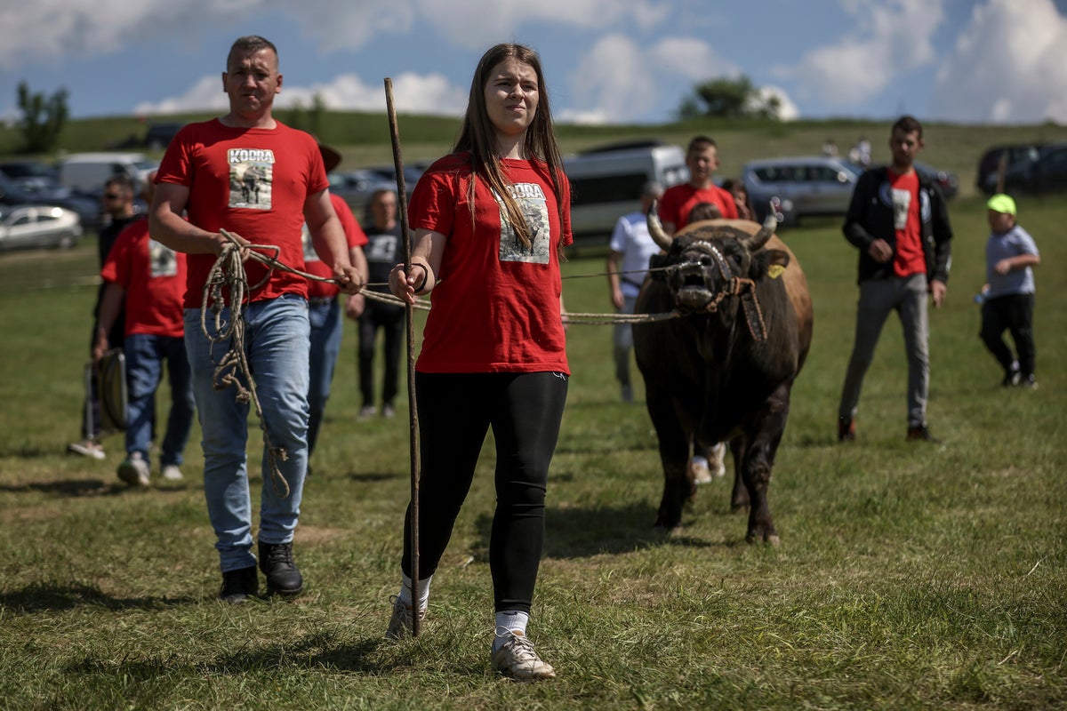 A teenage bullfighting enthusiast celebrates victories in Bosnia