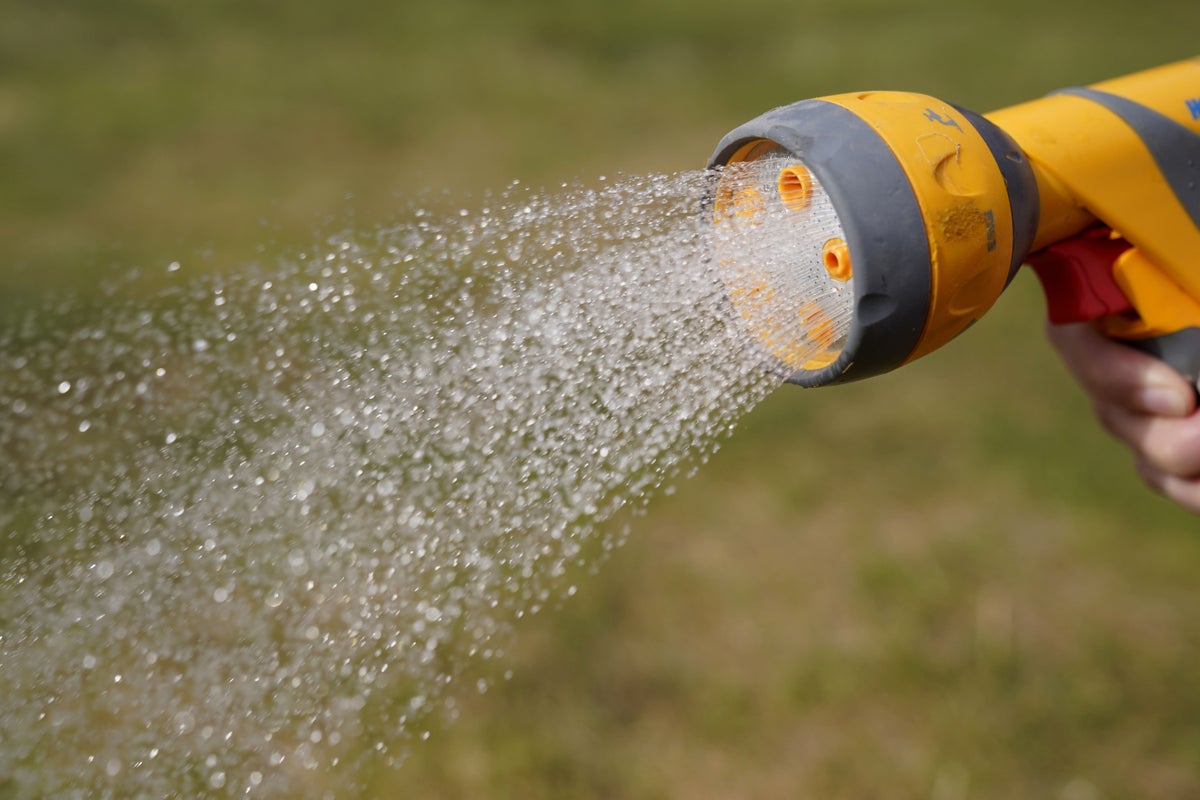 Thames Water warns customers of potential restrictions as drought risk looms