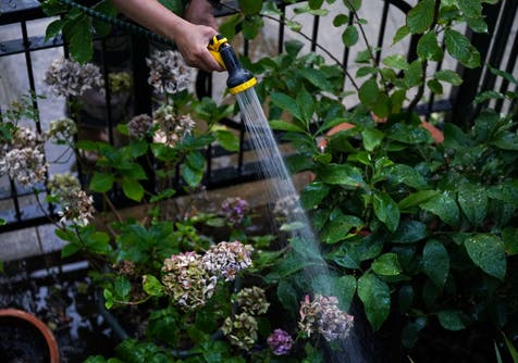 <p>England faces a "medium risk" of drought this summer</p>